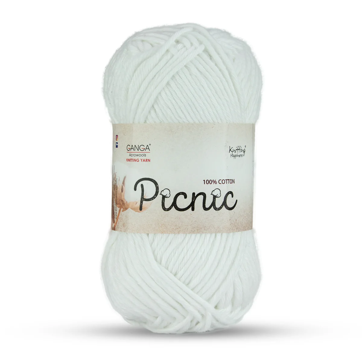Picnic